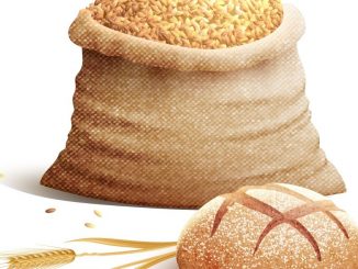 La proteína de trigo puede estar relacionada con la inflamación en ...