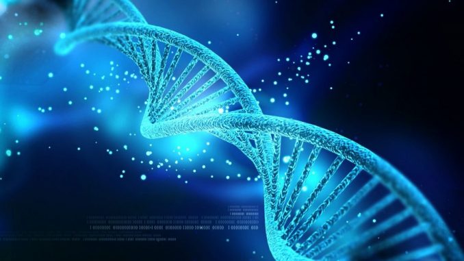Los investigadores revelan hallazgos clave en la hoja de ruta de la genómica hacia la enfermedad ...
